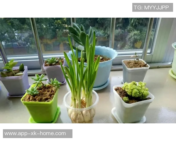 年轻球员激情四溢文班遭双人犯规卡斯尔与米奇争执双双被罚